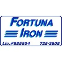 Fortuna Iron
