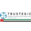 Trustegic Chartered Accountants and Consultancy Trustegic Chartered Accountants and Consultancy