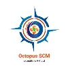 OCTOPUS SCM EXPEDITORS PRIVATE LIMITED OCTOPUS SCM EXPEDITORS PRIVATE LIMITED