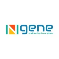 Ngene