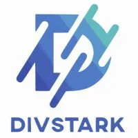 DivStark Agency