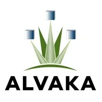Alvaka - 24x7 IT Support & Ransomware Recovery