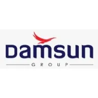 Damsun Group