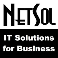 NetSol Co., Ltd.