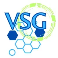 Virtual Solutions Group