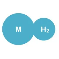 Micro Hydrogen Inc