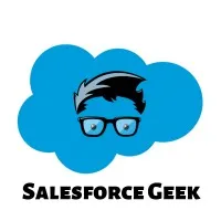 Salesforce Geek