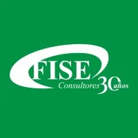FISE CONSULTORES
