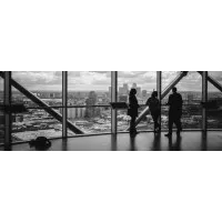 Pena-Alcantara Consultants