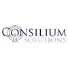 Consilium Solutions Consilium Solutions