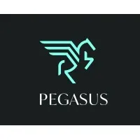 Pegasus Global