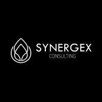 Synergex Consulting