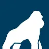 Health Gorilla Health Gorilla