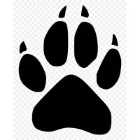 Wolfpack Cancer Association Wolfpack Cancer Association