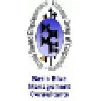 Basic Blue Management Consultants