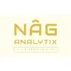 NAG ANALYTIX LLC NAG ANALYTIX LLC