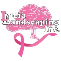 Lucia Landscaping Inc.