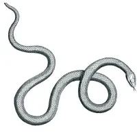 ALEPH Holdings ALEPH Holdings