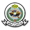 U.S. Army Office of the Program Manager - Saudi Arabian National Guard U.S. Army Office of the Program Manager - Saudi Arabian National Guard