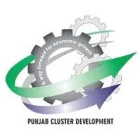 Cluster Development Initiative Cluster Development Initiative