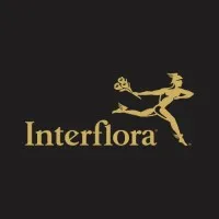 Interflora African Areas