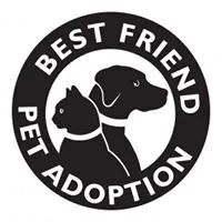 Best Friend Pet Adoption