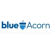 BlueAcorn Company