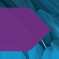 Dentons Sirote