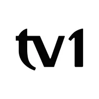 Grupo TV1 email format