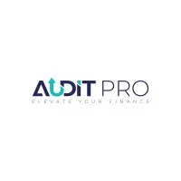 AUDIT PRO