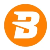 Babylon Pump & Power Limited