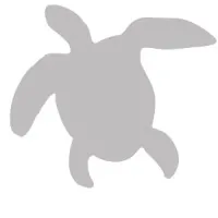 Archelon Group