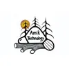 Amik Technology Amik Technology