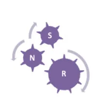 SNR ENGINEERING SERVICES PTE LTD