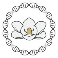 Mississippi INBRE Mississippi INBRE