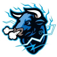 Central Oklahoma Winlectric