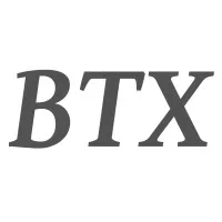 Biometric Time Experts (BTX)