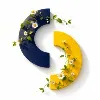 One Service Consulting