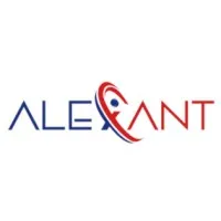 Alexant Systems Corporation