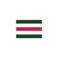 Synergy Solutions & Advisory Ltd.