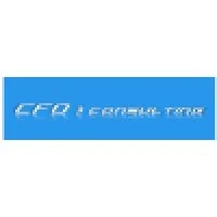 CFO consulting