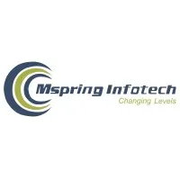 Mspring Infotech India Pvt. Ltd.