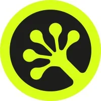 Geckos Games