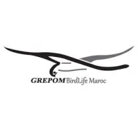 GREPOM/BirdLife Morocco