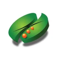 SSG Consulting
