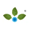 Anupam Rasayan India Ltd Anupam Rasayan India Ltd