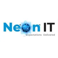 NEON IT LLC