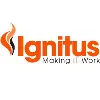 Ignitus Limited Ignitus Limited