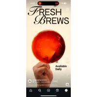 Wooden Owl Design Wooden Owl Design