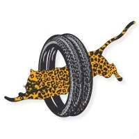 Panther Tyres Limited